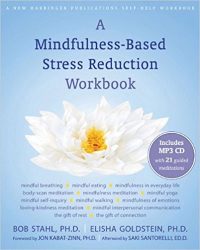 a mindfulness-based stress reduction workbook